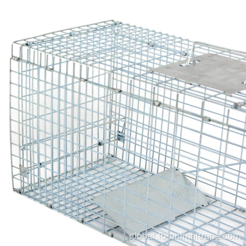 Rat Trap Cage Humane Small Live Animal Control Steel Trap Cage Manufactory